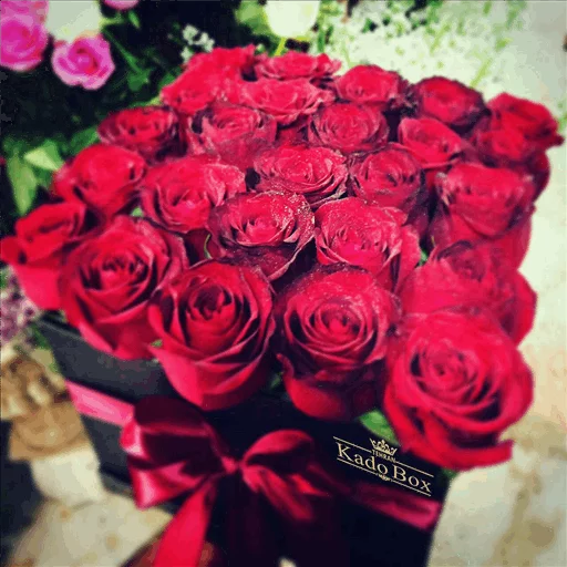 🌹 Стикер «Roses» для Telegram