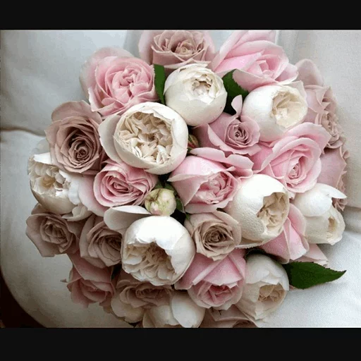 🌹 Стикер «Roses» для Telegram