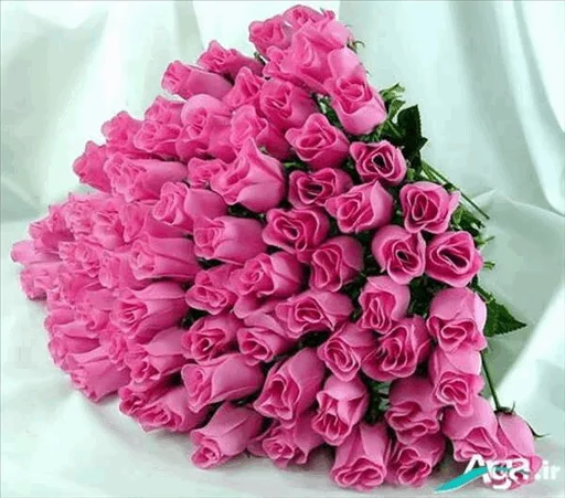 🌹 Стикер «Roses» для Telegram
