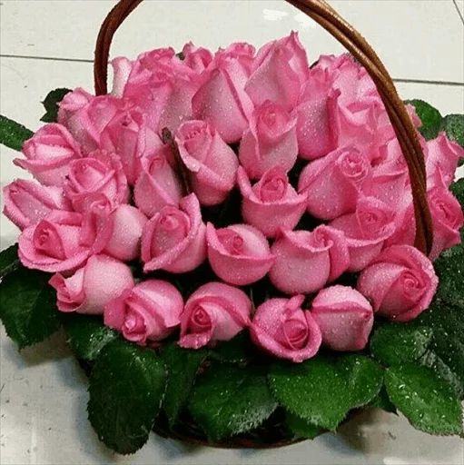🌹 Стикер «Roses» для Telegram