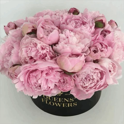🌹 Стикер «Roses» для Telegram