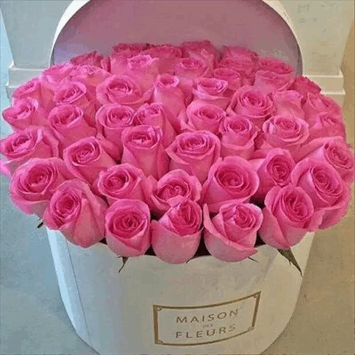 🌹 Стикер «Roses» для Telegram