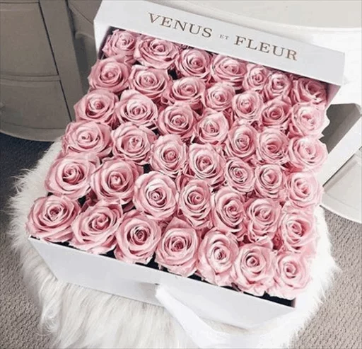 🌹 Стикер «Roses» для Telegram