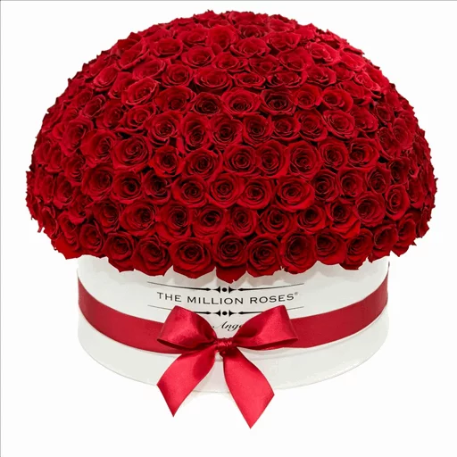 🌹 Стикер «Roses» для Telegram