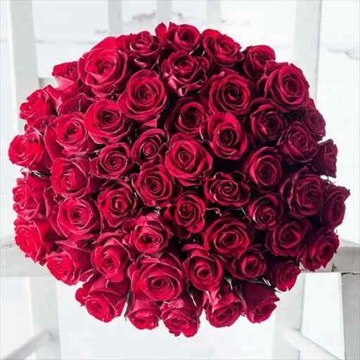 🌹 Стикер «Roses» для Telegram