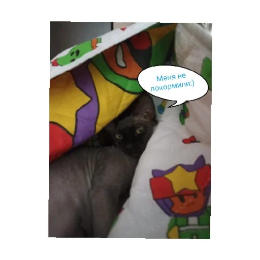 😄 Стикер «Мои котики)» для Telegram