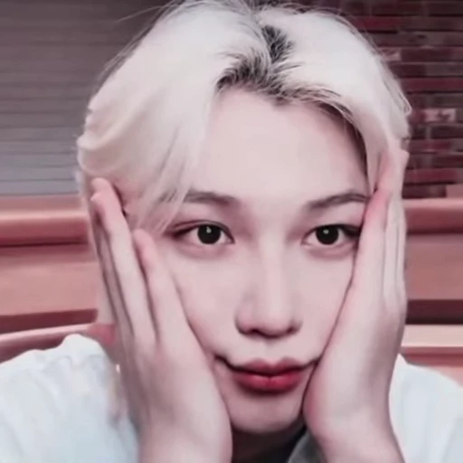 😻 Стикер «Stray Kids» для Telegram