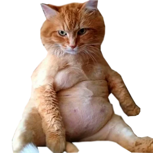 🔞 Стикер «젖은 샌들 (Wet-Sandal)» для Telegram