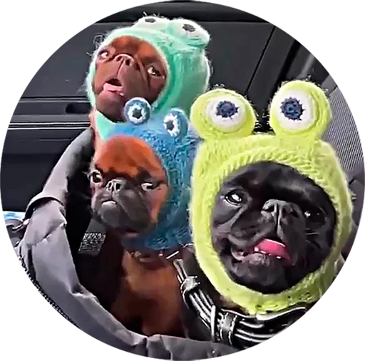 👻 Стикер «젖은 샌들 (Wet-Sandal)» для Telegram