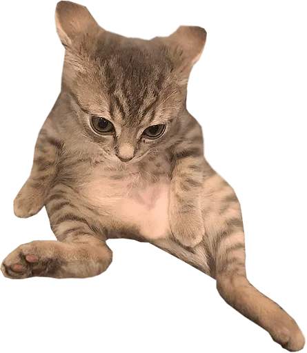 🫠 Стикер «젖은 샌들 (Wet-Sandal)» для Telegram