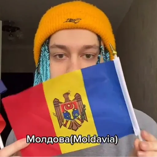 🇲🇩 Стикер «молдавская муха» для Telegram