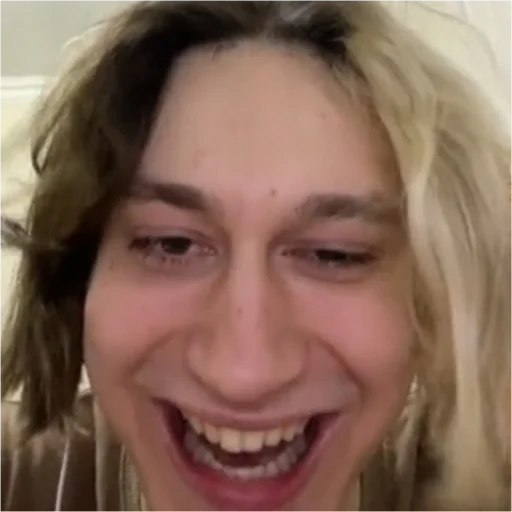 😂 Стикер «молдавская муха» для Telegram