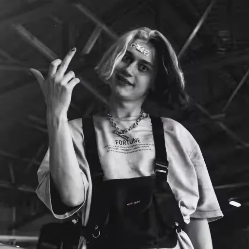 🖕 Стикер «молдавская муха» для Telegram