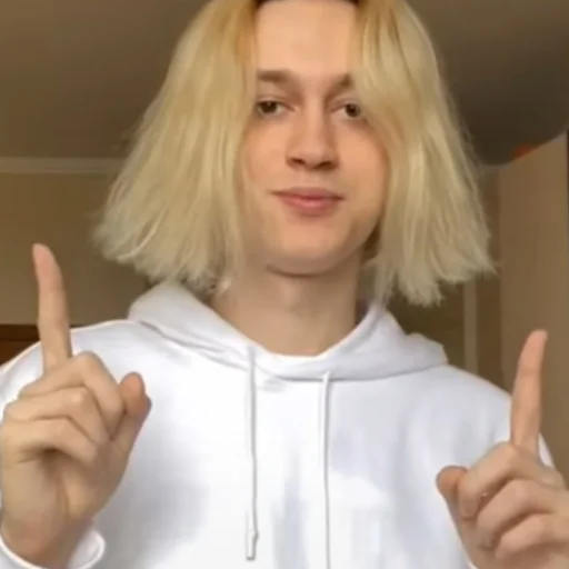 ☝️ Стикер «молдавская муха» для Telegram