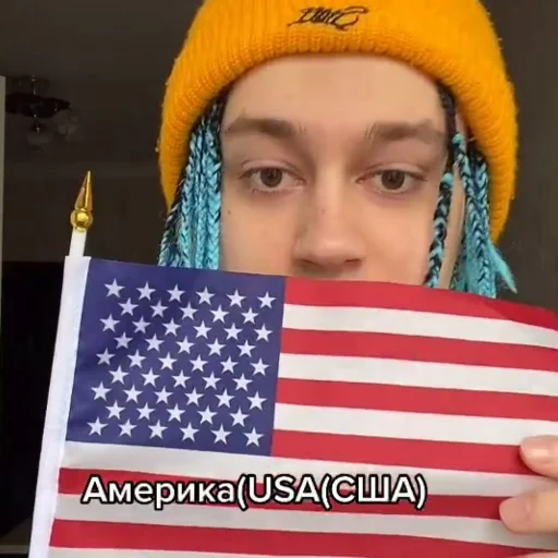 🇺🇸 Стикер «молдавская муха» для Telegram