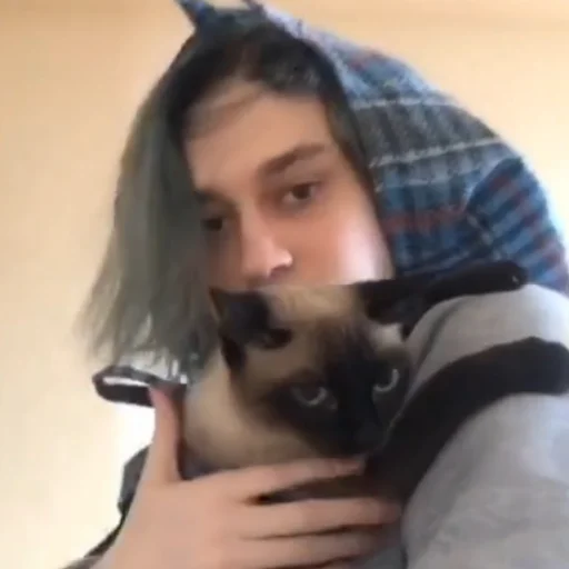 🐱 Стикер «молдавская муха» для Telegram