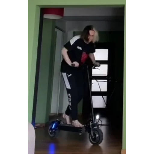 🛴 Стикер «молдавская муха» для Telegram