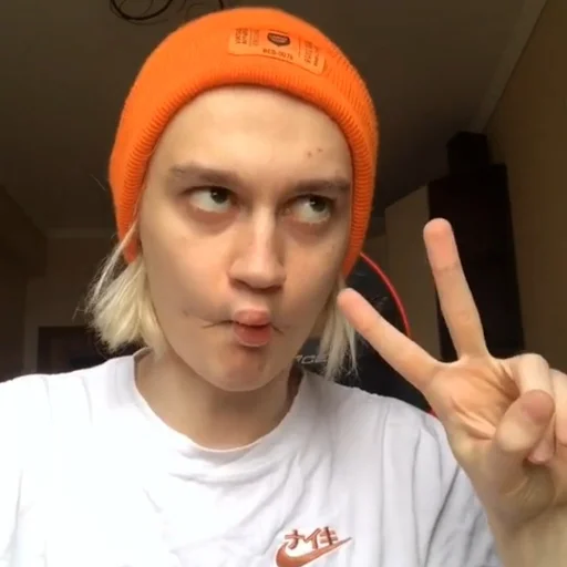 ✌️ Стикер «молдавская муха» для Telegram