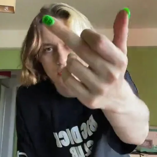 🖕 Стикер «молдавская муха 2» для Telegram