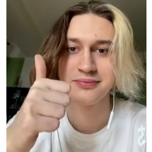 👍 Стикер «молдавская муха 2» для Telegram