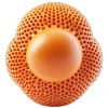 Стикер 48 3D molecule