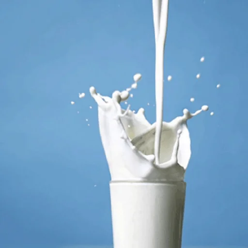 🥛 Стикер «Смачный молоко средули» для Telegram