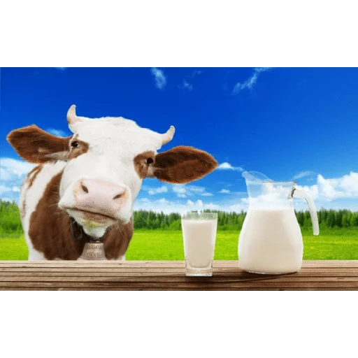 🥛 Стикер «Смачный молоко средули» для Telegram