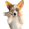 🐶 Эмодзи «Цветной шрифт» для Telegram
