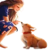 🐶 Эмодзи «Цветной шрифт» для Telegram