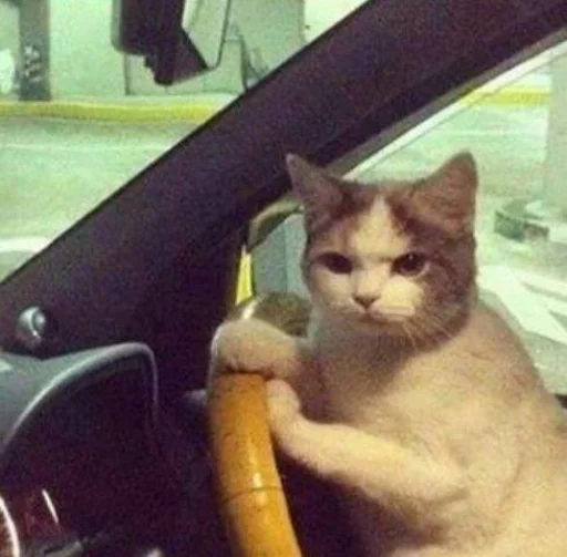 😾 Стикер «Mood MiX» для Telegram