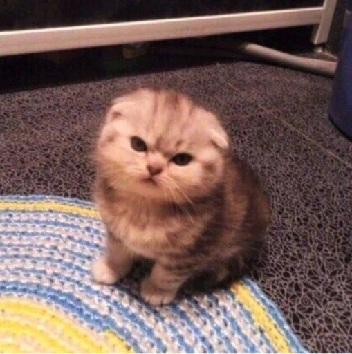 😾 Стикер «Mood MiX» для Telegram