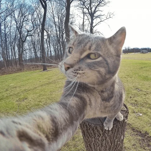 🤳 Стикер «Mood MiX» для Telegram