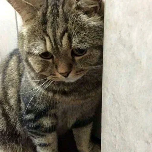 😢 Стикер «Mood MiX» для Telegram