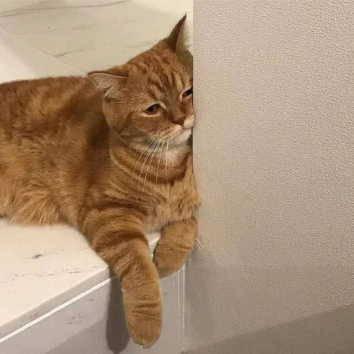 😿 Стикер «Mood MiX» для Telegram