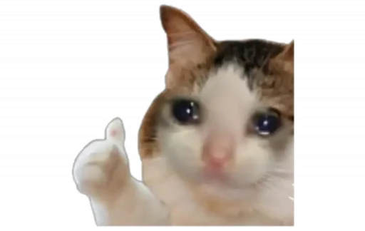 😿 Стикер «Mood MiX» для Telegram
