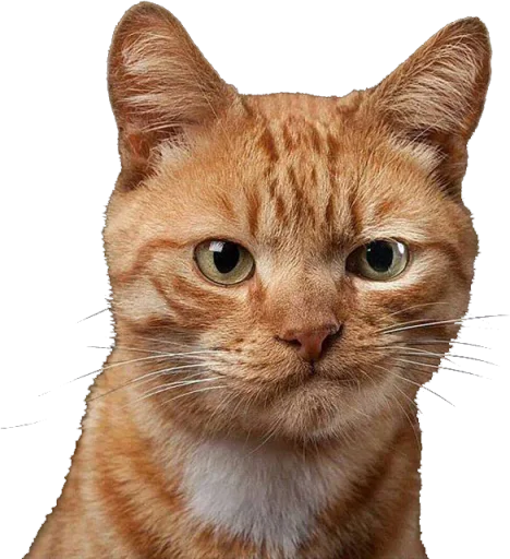 😼 Стикер «Mood MiX» для Telegram
