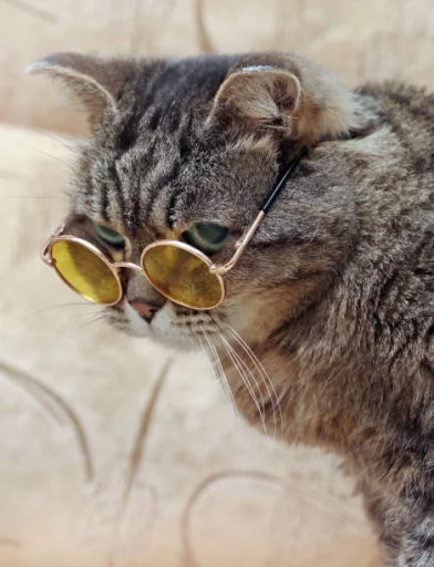 👓 Стикер «Mood MiX» для Telegram