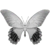 🦋 Эмодзи «. monde fictif.» для Telegram