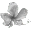 🌺 Эмодзи «. monde fictif.» для Telegram