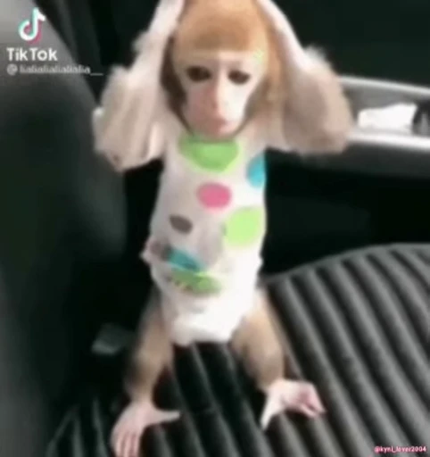 Стикерпак Monke 2 для Telegram