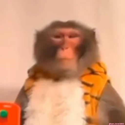 😡 Стикер «Monke 2» для Telegram