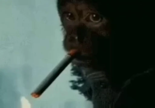 🚬 Стикер «Monke 2» для Telegram
