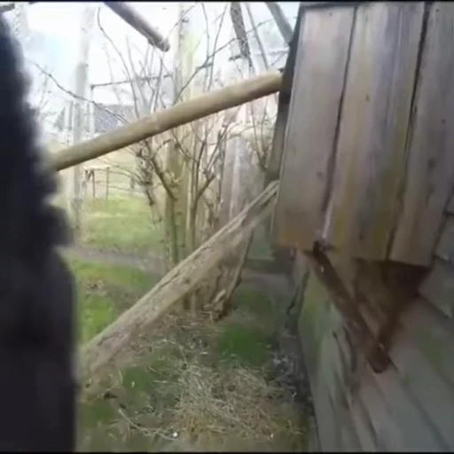 😜 Стикер «Monke 2» для Telegram