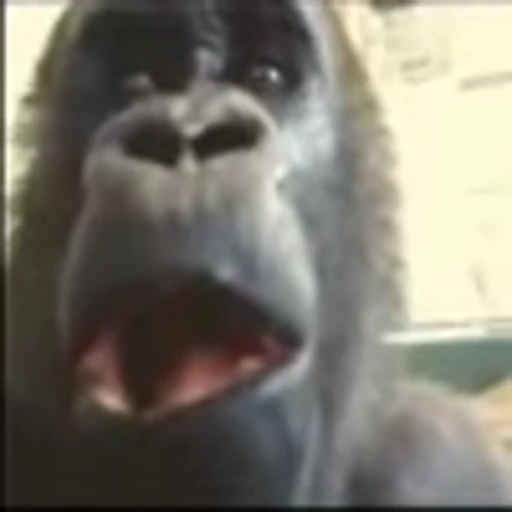 😧 Эмодзи «monke +» для Telegram