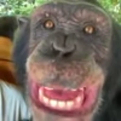 🤣 Эмодзи «monke +» для Telegram