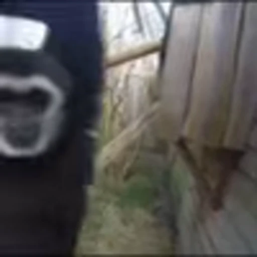 😛 Эмодзи «monke +» для Telegram