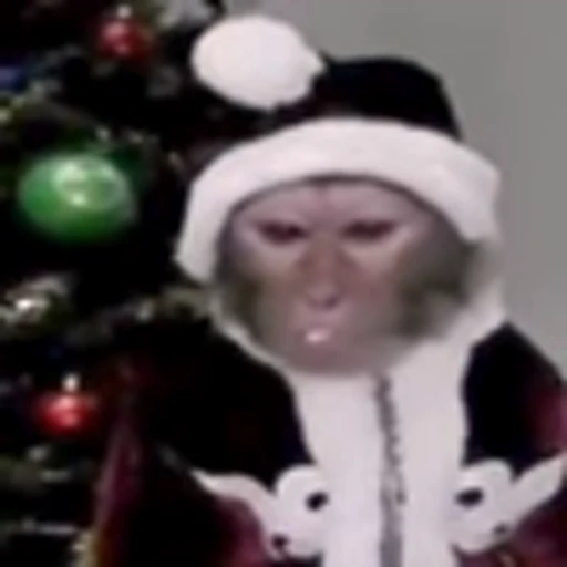 🎅 Эмодзи «monke +» для Telegram
