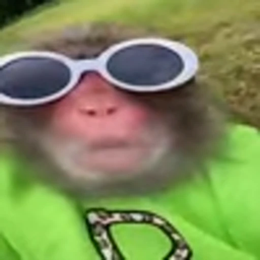 😎 Эмодзи «monke +» для Telegram