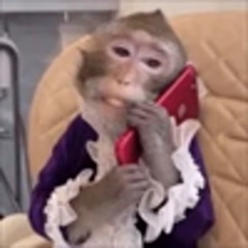 🤳 Эмодзи «monke +» для Telegram