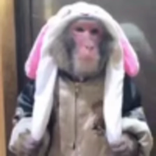 😐 Эмодзи «monke +» для Telegram